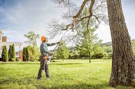 Best Hazardous Tree Removal  in Maysville, MO